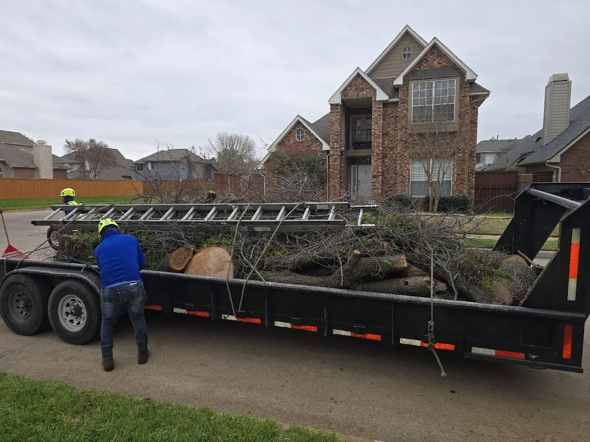 Expert Tree Fertilization with proper safety equipment in Bristow